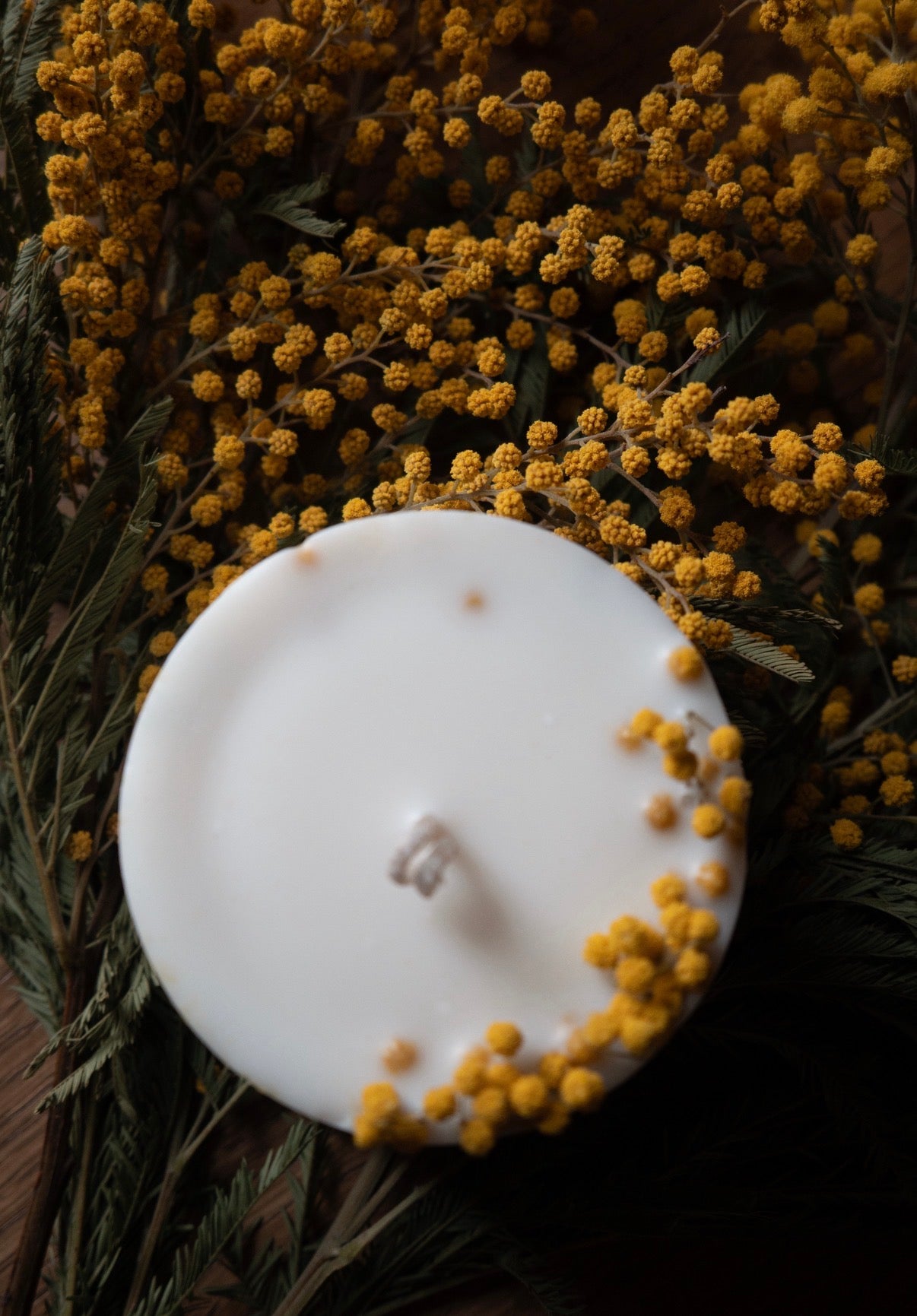 Lumânare botanică - decor mimosa