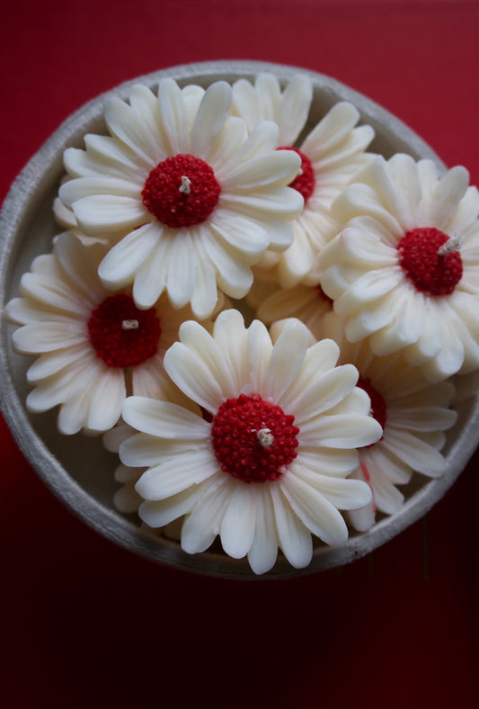 Margaretă - mărțisor